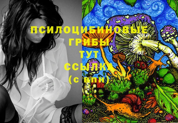 Альфа ПВП Абаза