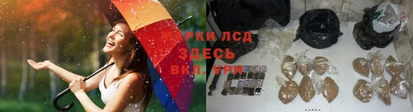 мяу мяу мука Алексеевка
