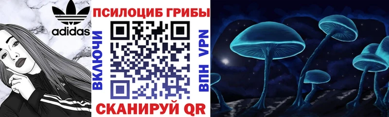 Псилоцибиновые грибы Psilocybe  цены наркотик  Анапа 